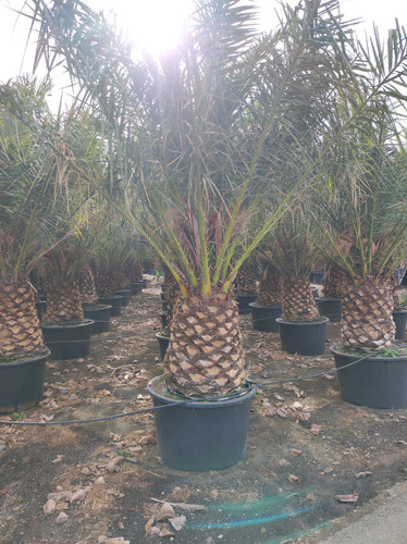 IMG 20240219 143203.jpg