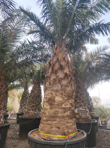 IMG 20240219 161919.jpg