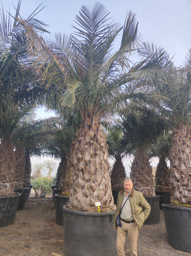 IMG 20240219 161856.jpg