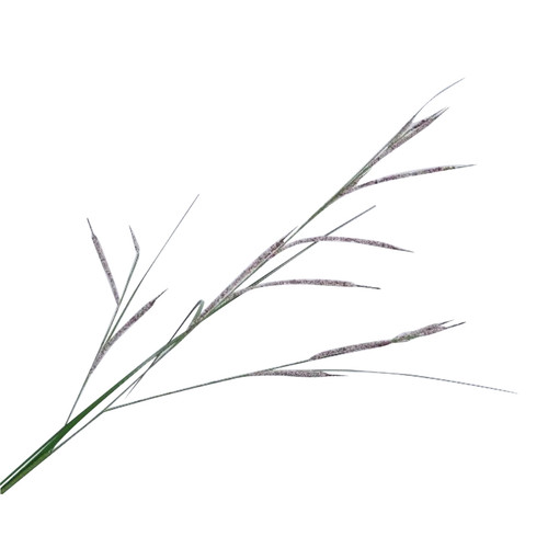 126568.jpg