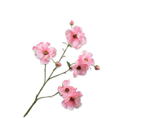 150438.png