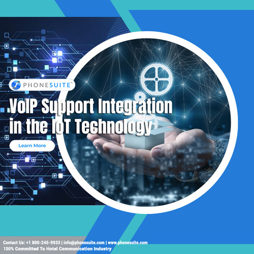 VoIP Support Integration in the IoT Technology