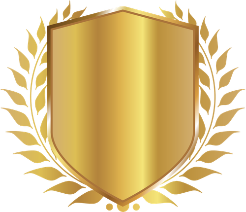 BADGE VIP.png
