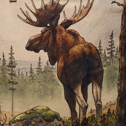 701349 2.jpg