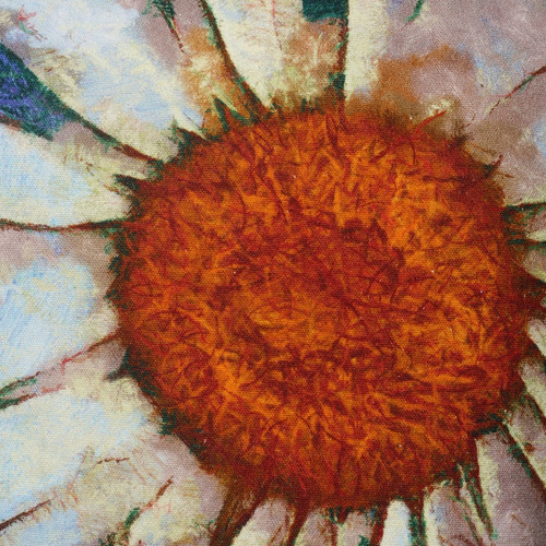 801315 2.jpg