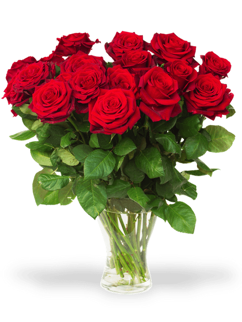 rose flower bouquet stock photography artificial flower rose bunch a5d808d2902a89f6559608457c6565bc.png