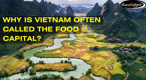How Does Vietnam Become the Food Capital?.png
