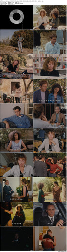 4A.Tale.of.Autumn.1998.CC.BluRay.1080p.DTS HD.MA.1.0.x265.10bit beAst preview.jpg