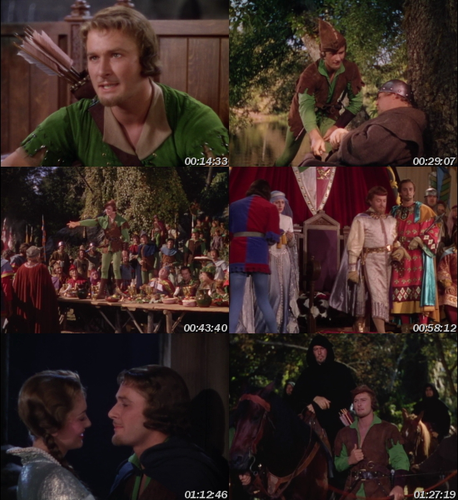 Robin de los bosques