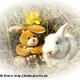 Mensi 228 pixelio.png