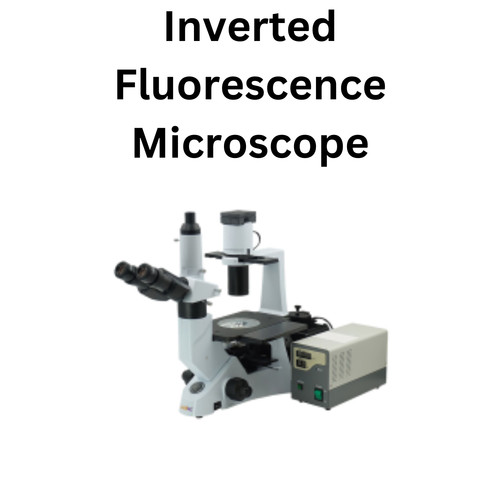Inverted Fluorescence Microscope.jpg