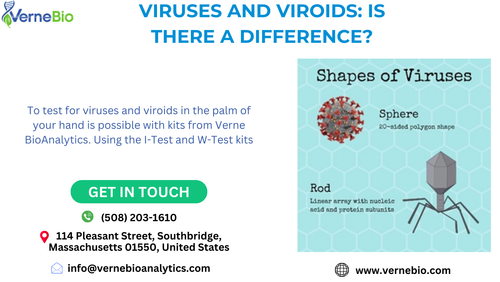 Viruses and Viroids: Is There A Difference?.png