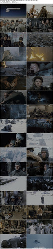 Stalingrad.1993.UHD.BluRay.2160p.2Audio.DTS HD.MA5.1.x265.10bit.HDR BeiTai preview.jpg