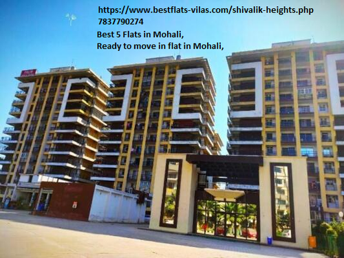ready to move i n flat mohali.png