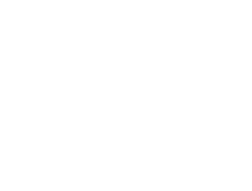 2020.Alpha.Tauri.Logo.webp