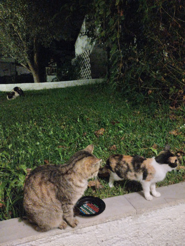 IMG 20231018 194616.jpg