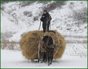 thumb f8ce5e5e42b01d4226b61a17e08e4d40.png