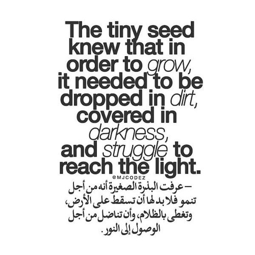 "... to reach the light ." 🌼