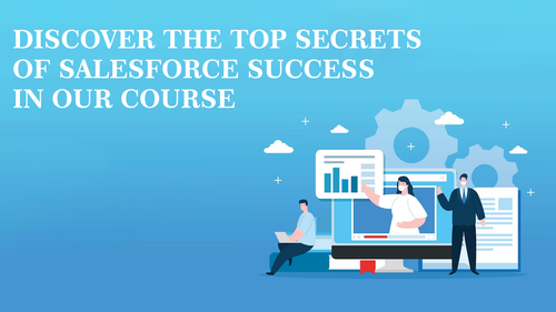 Discover the Top Secrets of Salesforce Success in Our Course.png