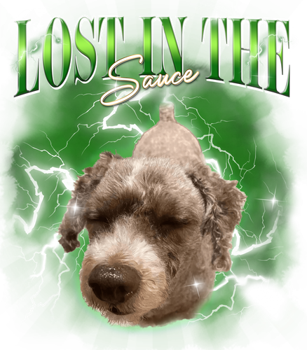 sauce 3032006123.png