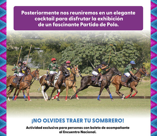 M EXPERIENCIA 03.jpg