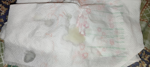 IMG 20231020 022420.jpg