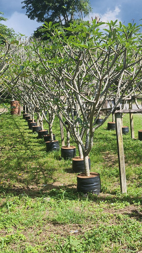 WhatsApp Image 2023 10 17 at 11.53.36 AM.jpg