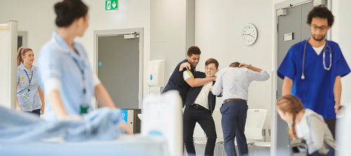 AVO 专家律师提供专门的法律代理.png