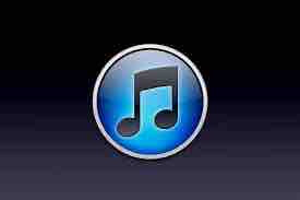 6DF75FD3 E39A 42A2 8C23 323EB878E349.jpg