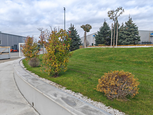 IMG 20231019 114220.jpg