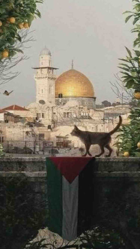 03077D5E 7D27 447F 808D C4474EE22EE4.jpg