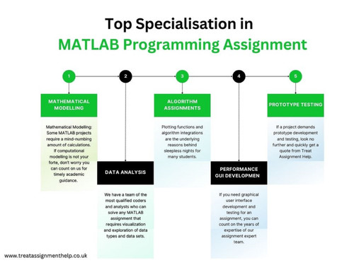 Top Specialisation in MATLAB Programming Assignment.jpg
