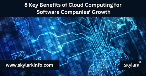 Cloud Computing for software companies.jpg