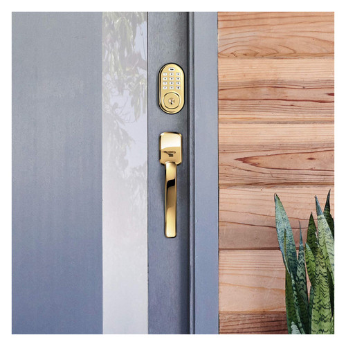 YAYRD216NRx media Lifetime Brass 274.jpg