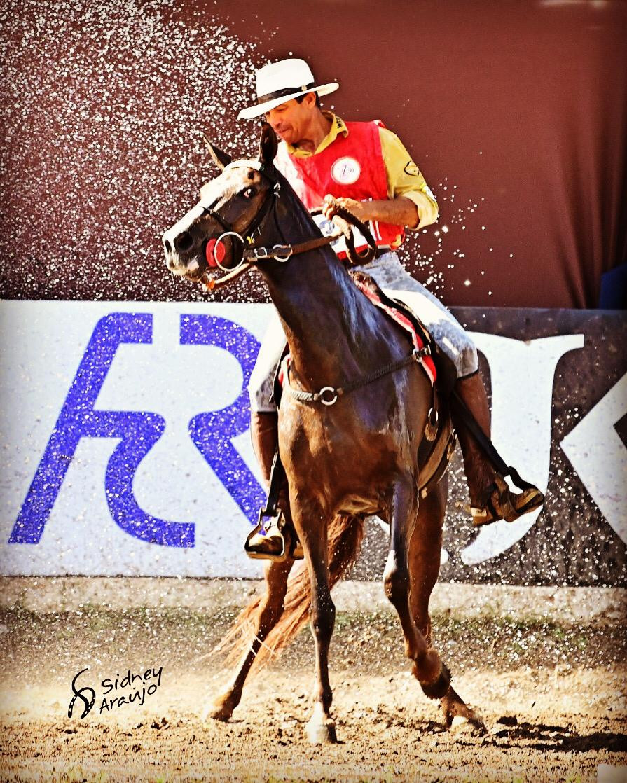 12º CBMP 2