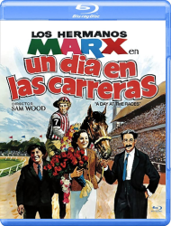 un dia en las carreras.png