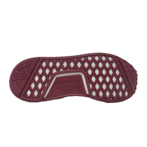 IMG 20231008 182336 Background Removed.jpg