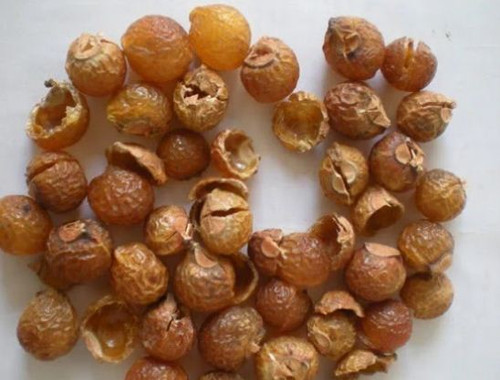 Soapnut Suppliers | Yogi's Gift.jpg
