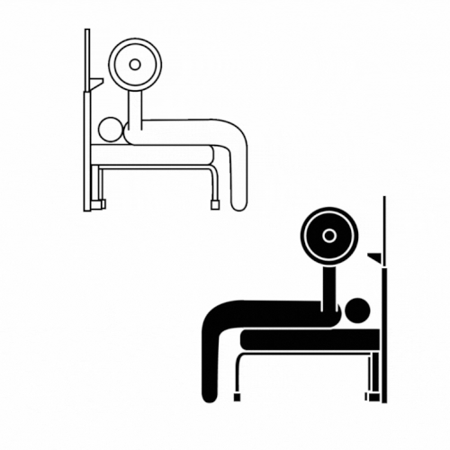 banco musculacion.gif