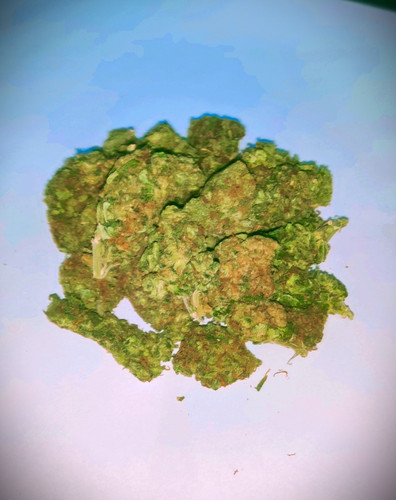 IMG 20231016 092219.jpg