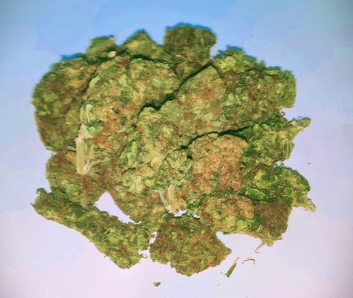 IMG 20231016 092219.jpg