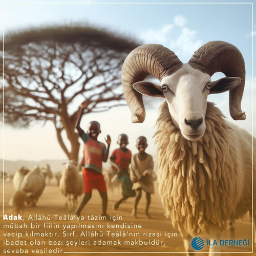 MicrosoftTeams image (7).jpg