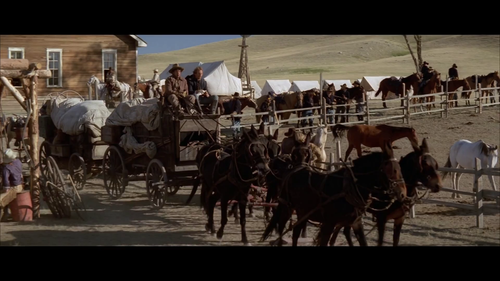 Dances.with.Wolves.1990.1080p.Hami.WEB DL.AAC.H264 HHWEB.mkv.scr3.png