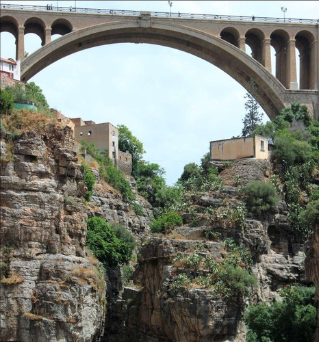 images%2Fimage 1697563021555.jpg