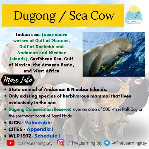 Spcs (28).jpg