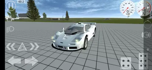 mclaren f1 gtr photo big.webp