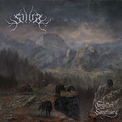 51o81dpmBIL. UXNaN FMjpg QL85 .jpg