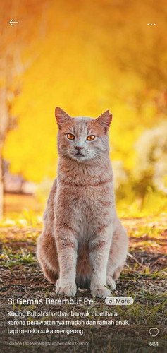 Screenshot 20221209 181411.jpg