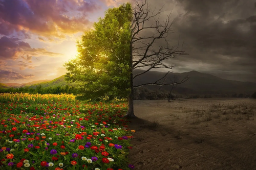 Tree Service Towson | Marylandtreediscountservice.com.png