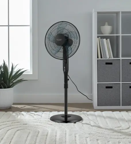 Black fan 6.webp